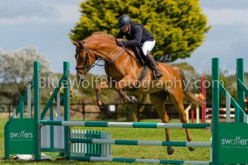 HOYS26-729
