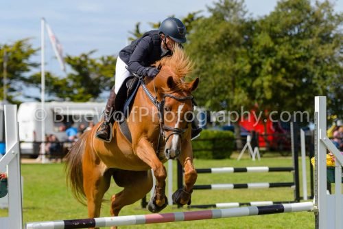 HOYS26-730
