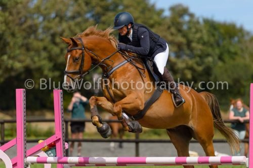 HOYS26-731