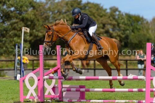 HOYS26-732