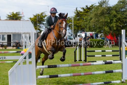 HOYS26-733