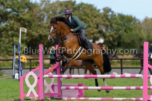 HOYS26-734