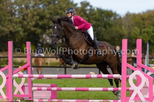 HOYS26-736