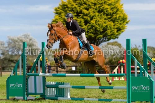 HOYS26-739