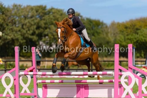 HOYS26-741