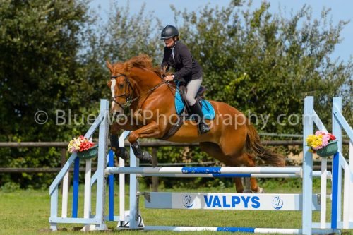 HOYS26-742
