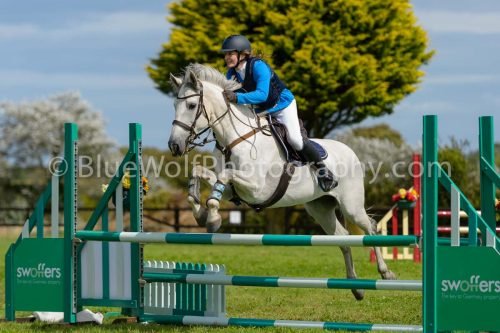 HOYS26-748