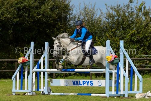 HOYS26-752