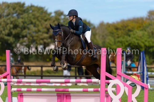 HOYS26-754