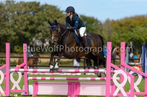HOYS26-755