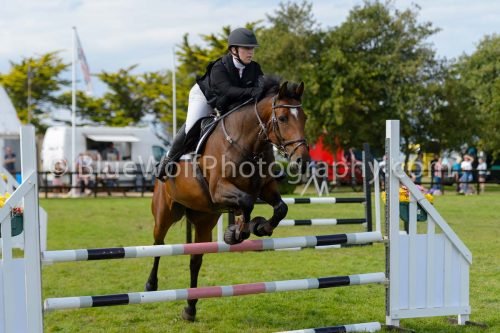 HOYS26-762