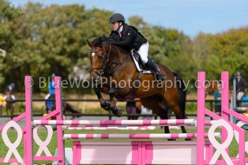 HOYS26-763