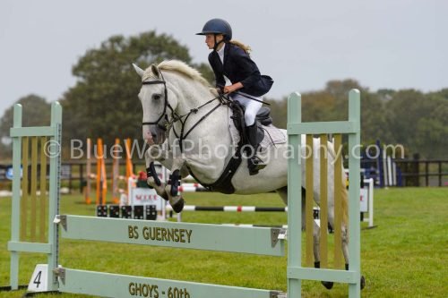 HOYS26-767
