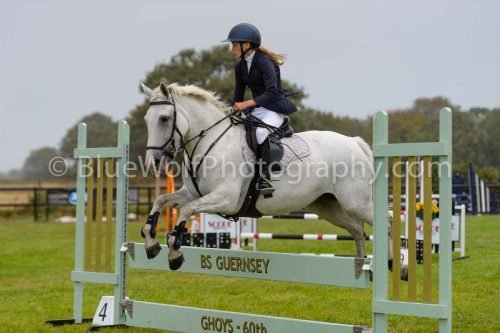 HOYS26-768