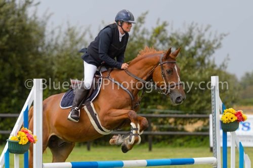 HOYS26-771