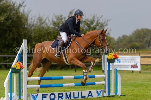 HOYS26-772