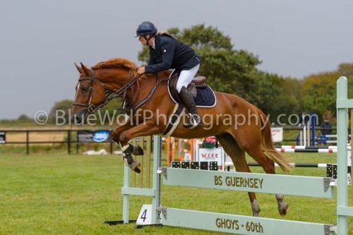 HOYS26-773