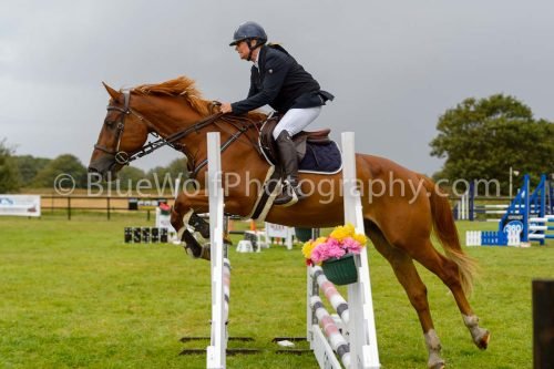 HOYS26-774