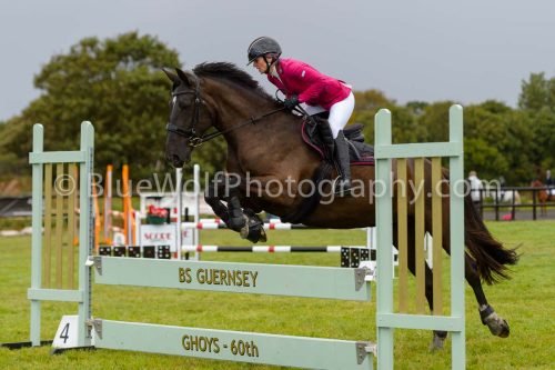 HOYS26-776