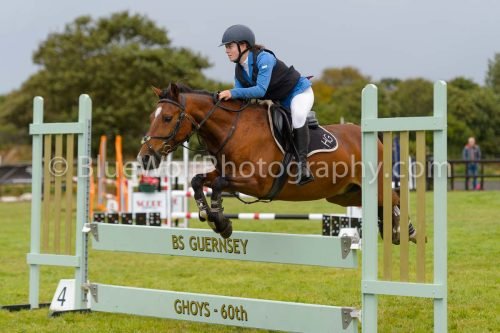 HOYS26-779
