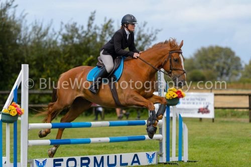 HOYS26-781