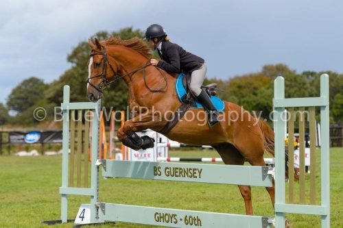 HOYS26-782
