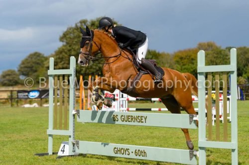 HOYS26-784