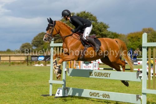 HOYS26-785