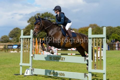 HOYS26-788