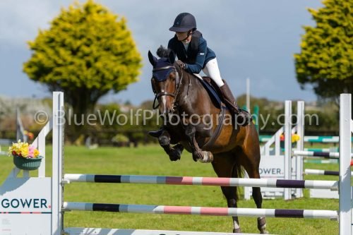 HOYS26-789