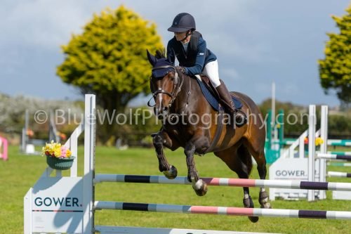 HOYS26-790