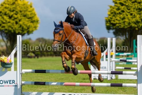 HOYS26-794