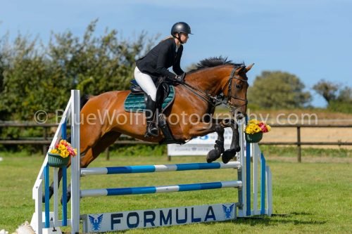 HOYS26-795