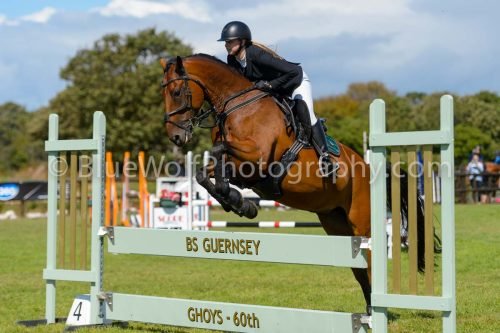 HOYS26-796