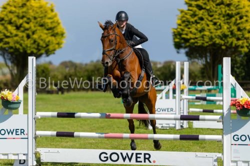 HOYS26-797