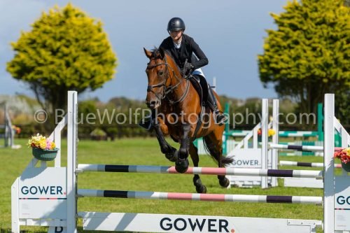 HOYS26-798
