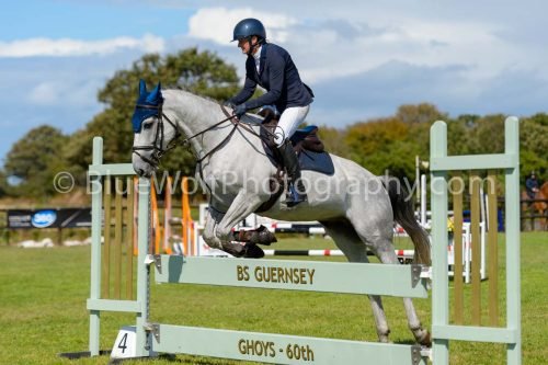HOYS26-799
