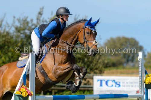 HOYS26-803