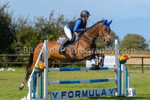 HOYS26-804