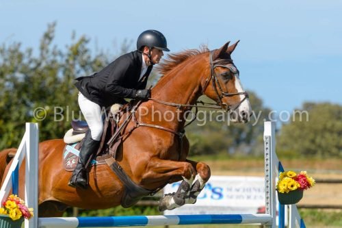 HOYS26-807
