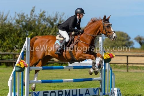 HOYS26-808