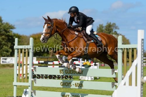 HOYS26-809