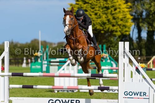 HOYS26-810