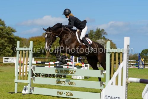 HOYS26-816