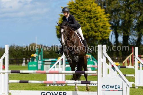 HOYS26-817
