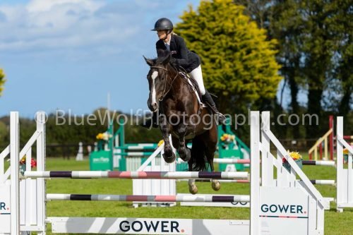 HOYS26-818