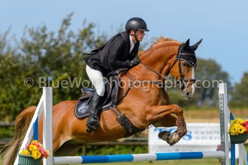 HOYS26-819