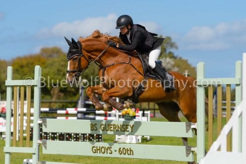HOYS26-821