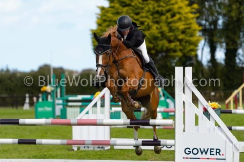 HOYS26-822