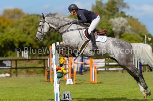 HOYS26-824